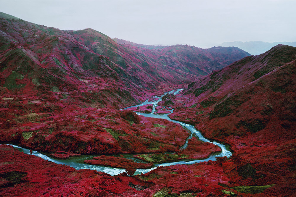 Year in Review: Montreal From the Ground Up