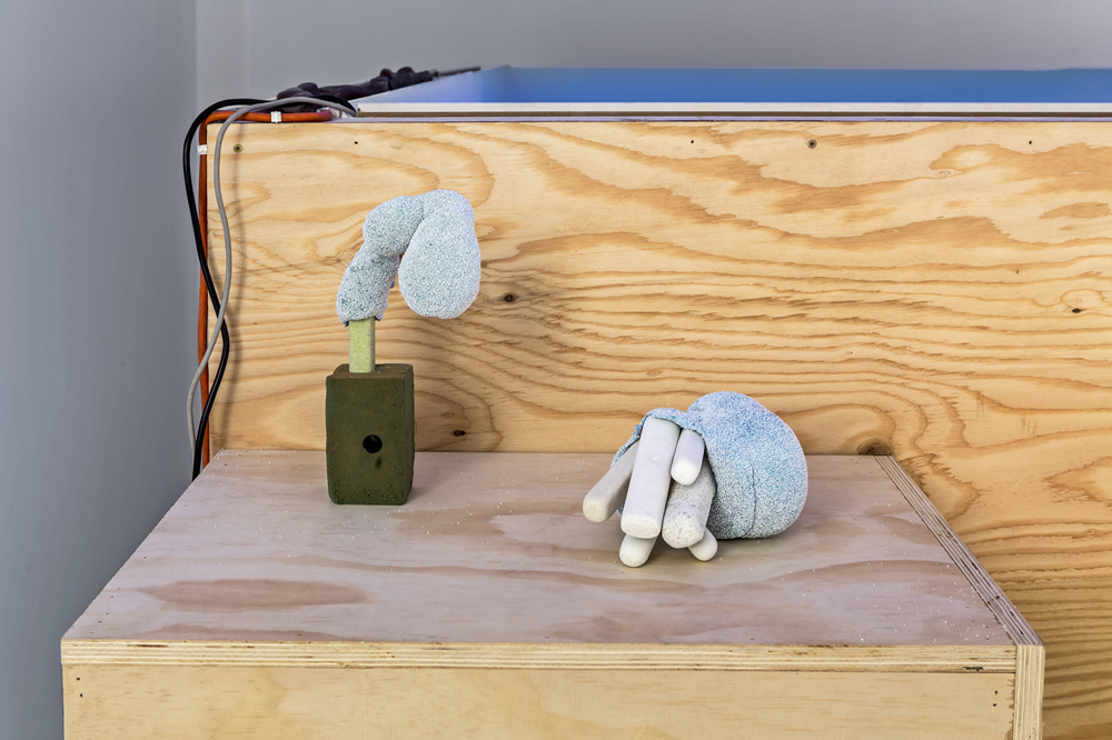 VSVSVS at Mercer Union: A White-Cube Compromise