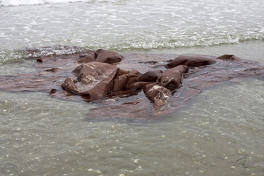 TM-18-banderaflotante-e13040990743571