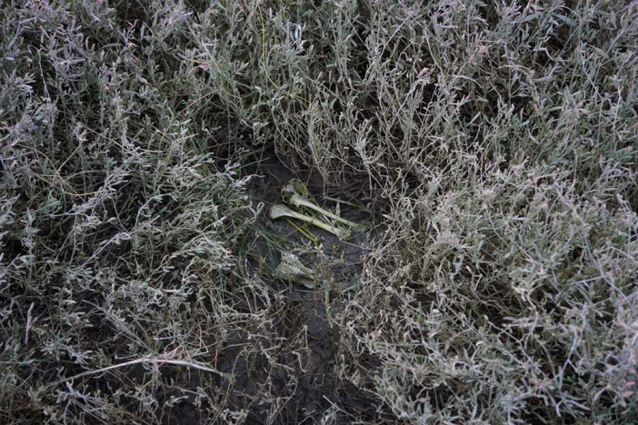 Eeriness: Tracing an Unquiet Tradition in British Landscape Art