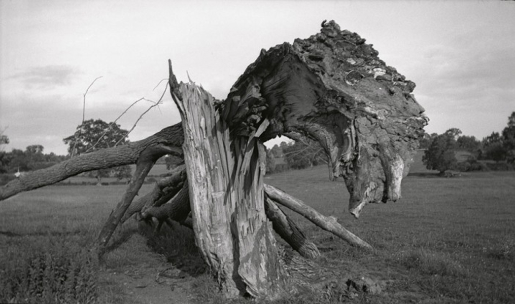 paul-nash-monster-field_0
