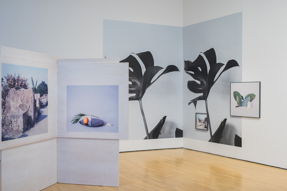 BNLMTL_Celia-Perrin-Sidarous_Installation-View_MAC-Edits-0006_Photo-by-Alison-Slattery_Courtesy-BNLMTL