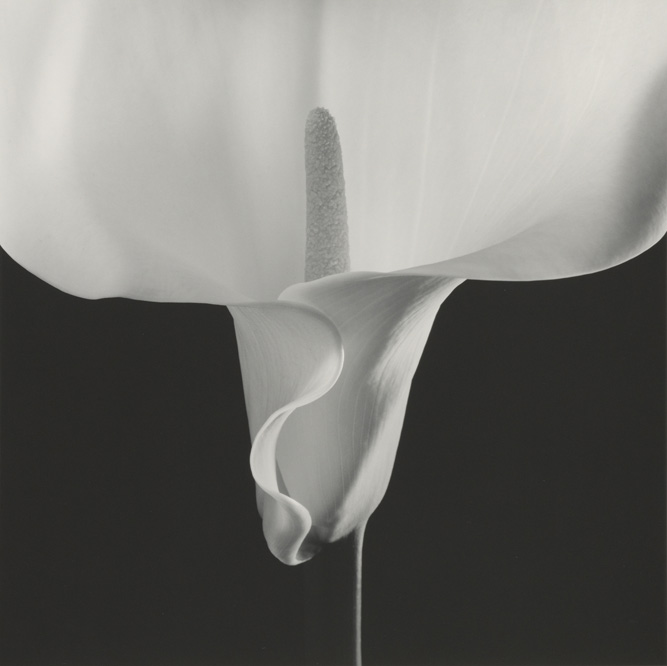 momus-MAP_316