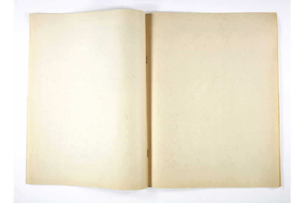 The Inevitable Cannibalization of Institutional Critique: Surveying Michael Asher and Christopher D’Arcangelo in L.A.