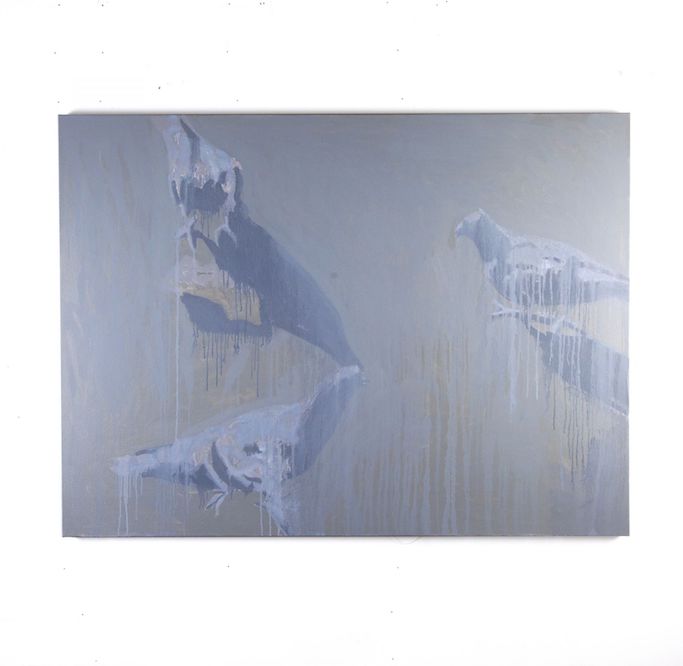 pigeons