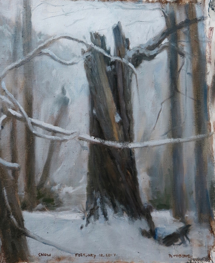 3-Snow-February-10-2017