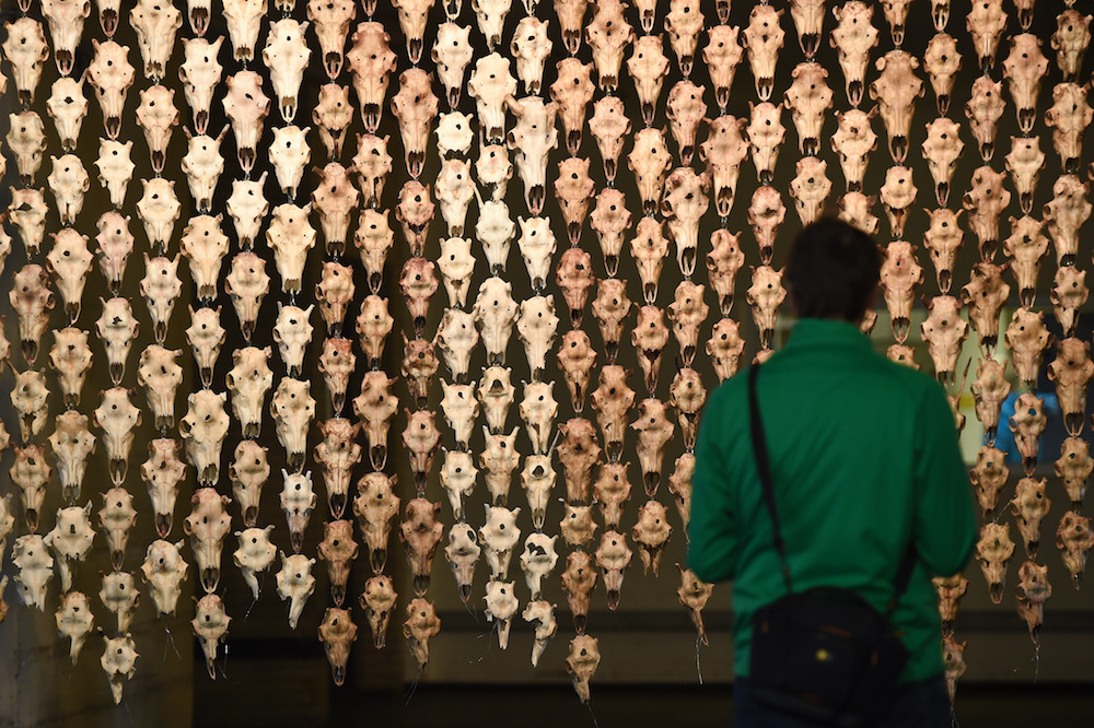 documenta_14_Kassel_53676514_0