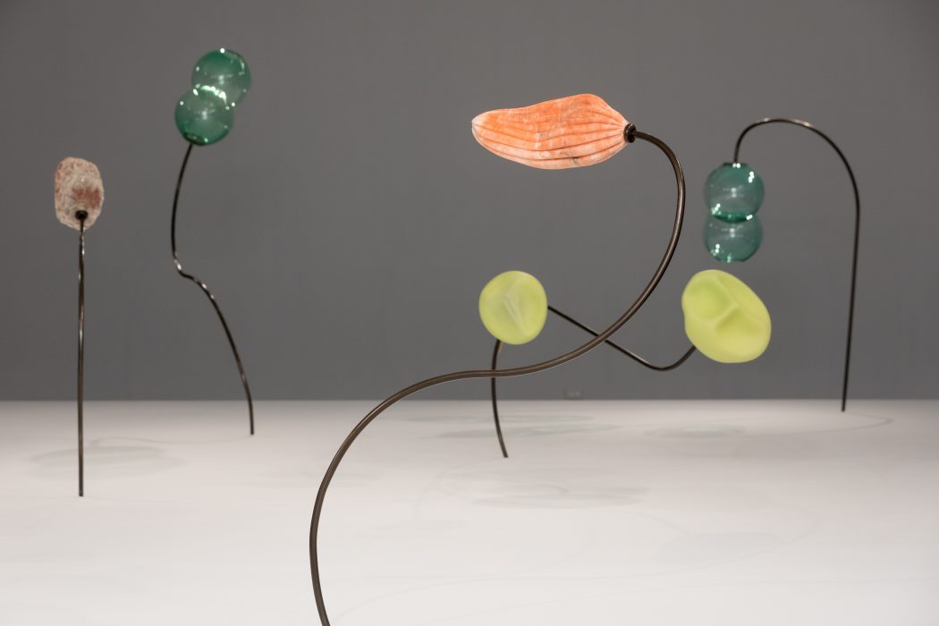 SaagDoc_00039-1050x700-1