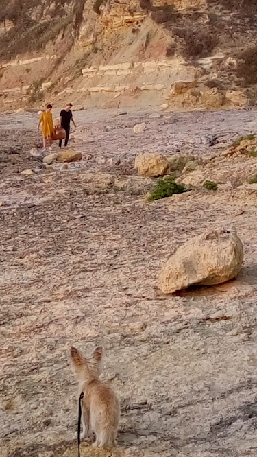 Cooking_The_World_GettingWater