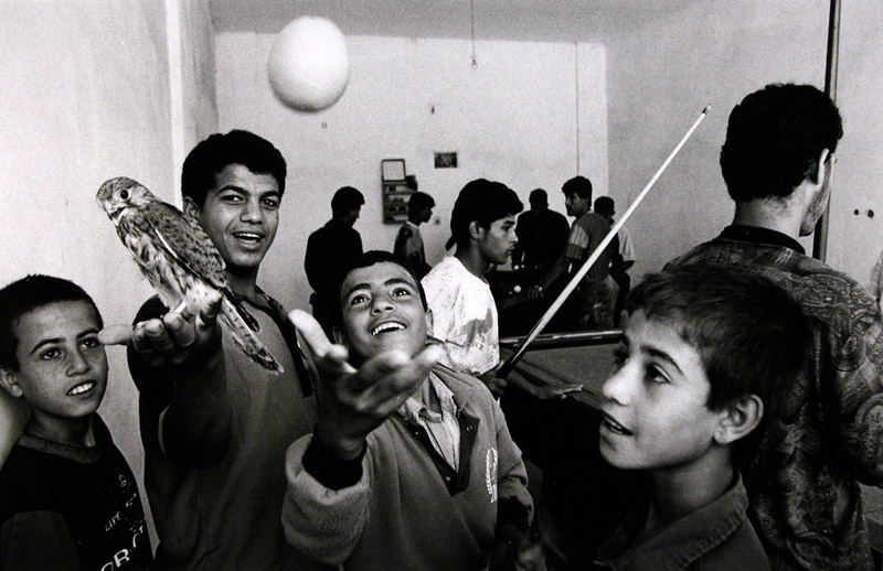 Towell_Beit-Hanoun_Gaza-Boys-in-pool-hall_1993-11-7_8x17-7_8-15-7_8x19-3_4