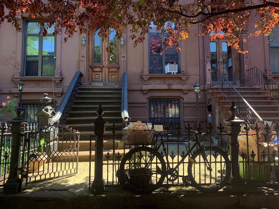 14virus-fortunecookie-superJumbo