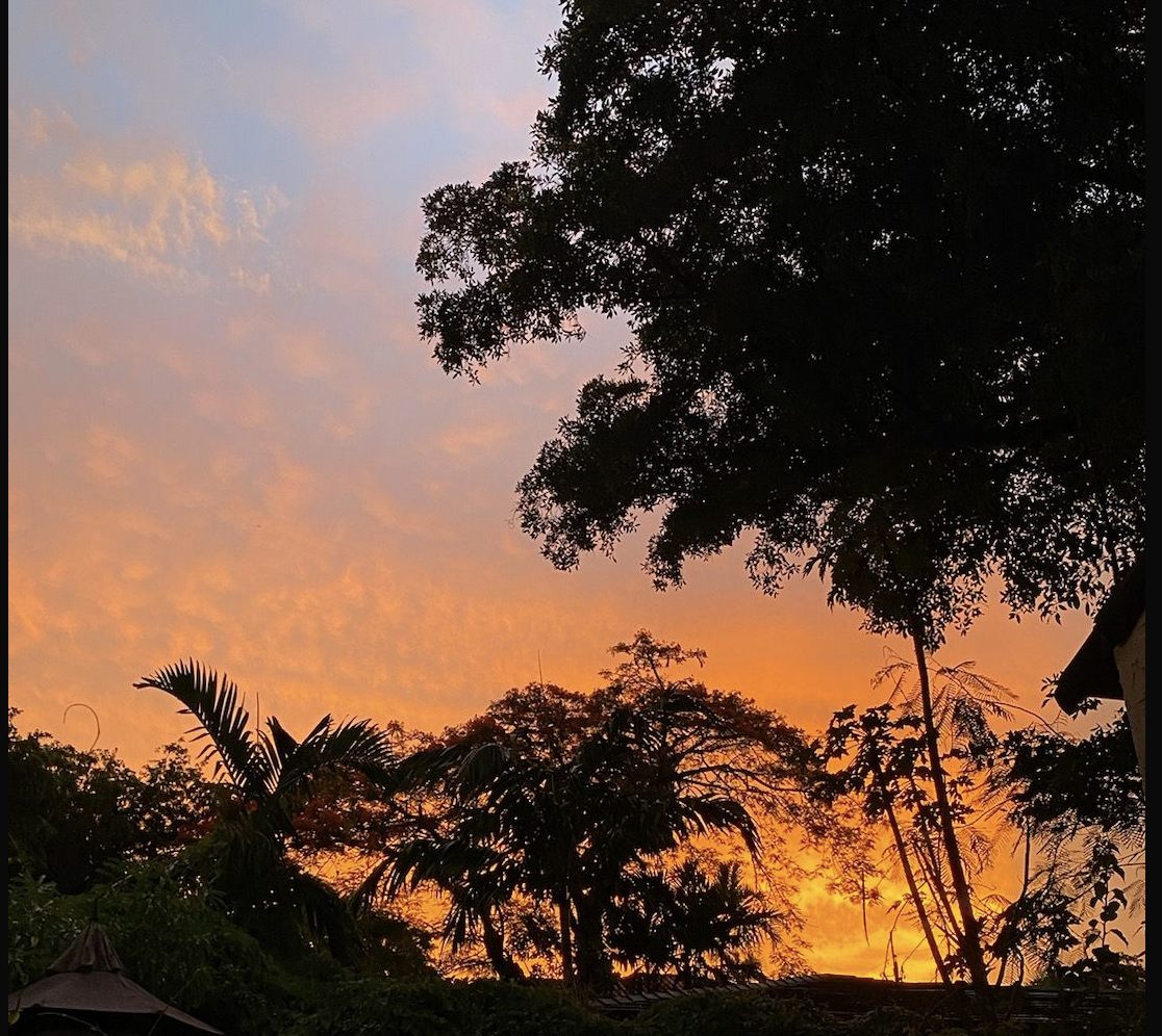 Screen-Shot-2020-10-08-at-1.39.48-PM