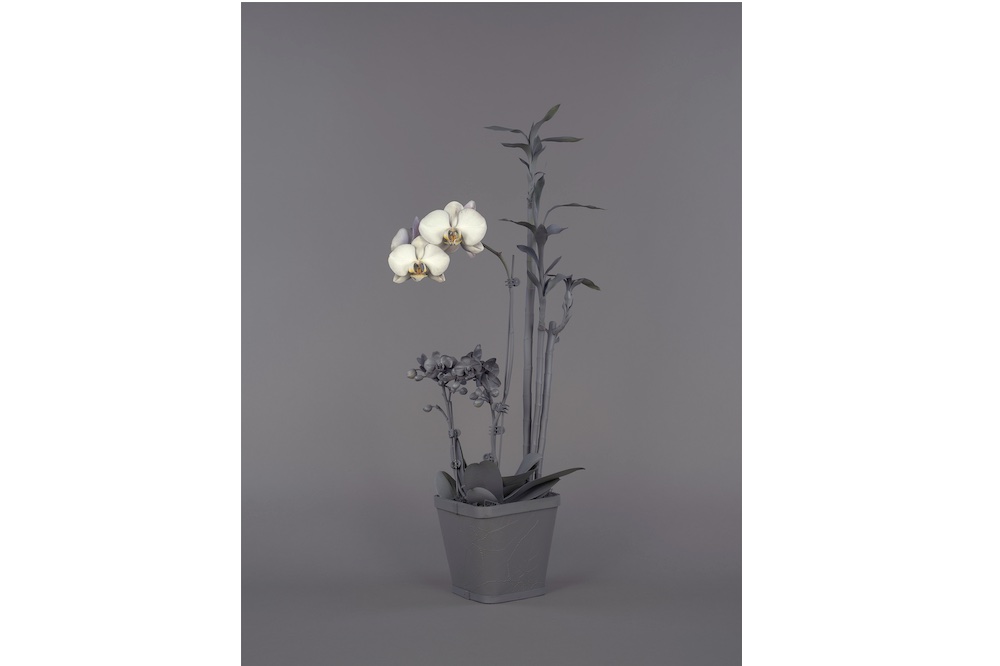 cover-plant-people-1