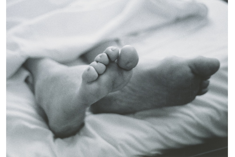 Portrait of the Artist as a Young Thief