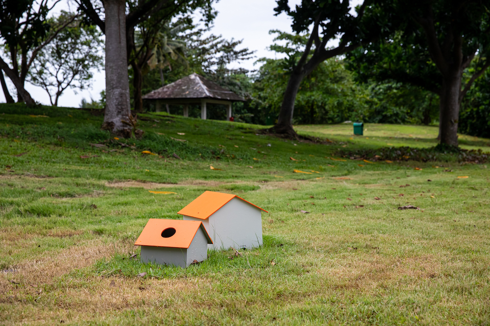 Installation-view-of-Donghwan-Kams-Fermentation-Houses-2021-2023-as-part-of-Singapore-Biennale-2022-named-Natasha.-Image-courtesy-of-Singapore-Art-Museum-2-1