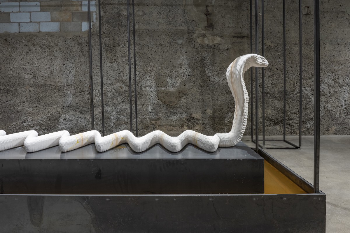 Azza-El-Siddique_2023_that-which-trembles-wavers_Bradley-Ertaskiran_15