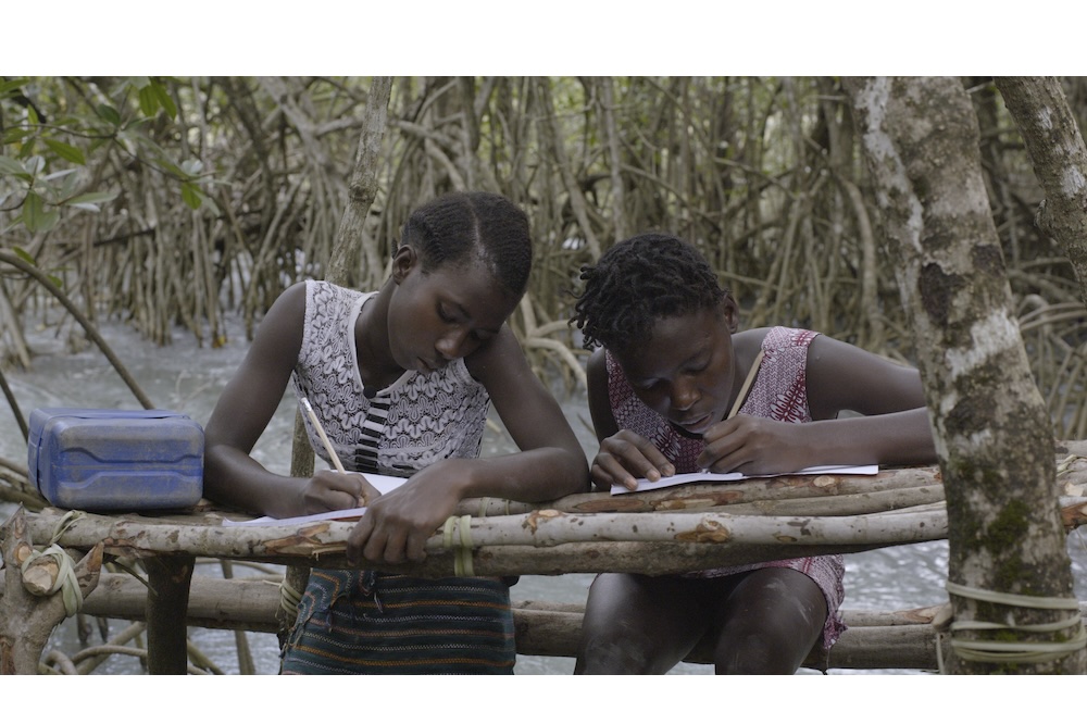 Forms of Echo: Sónia Vaz Borges & Filipa César Draw from a Sense-Memory Educational Legacy