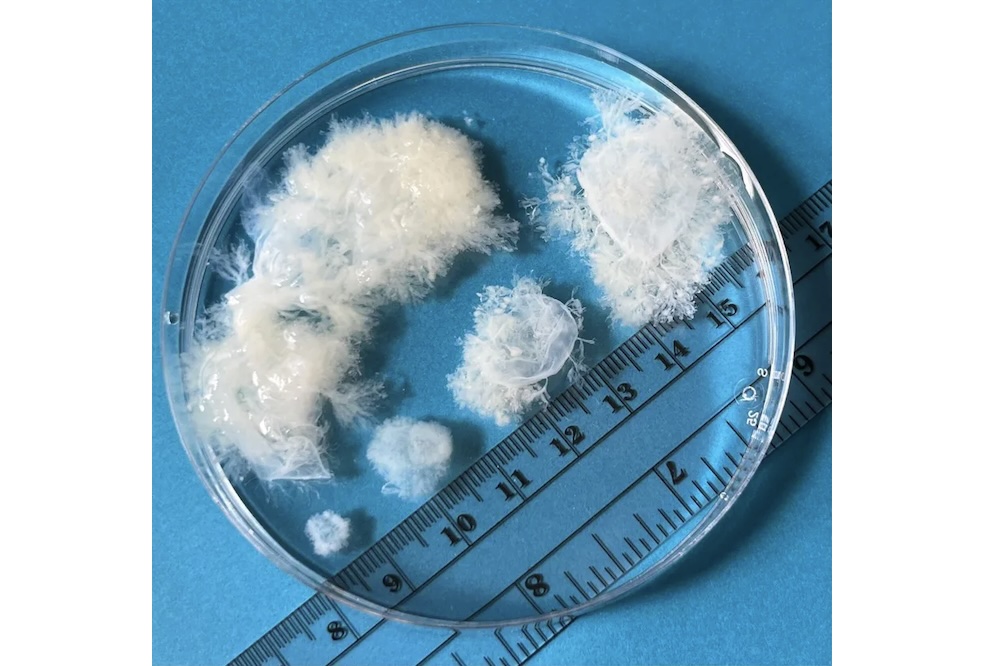 Our Visuality: Abortion Care Work and Photography