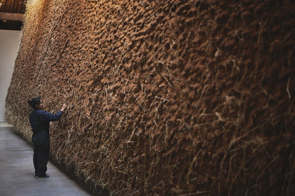 Don_Stahl_DELCY-MORELOS-030