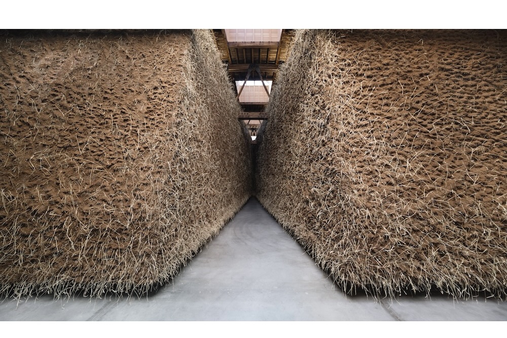 morelos-cover-emrazo