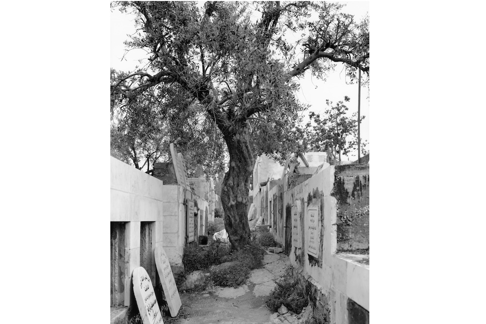 Exposing the Contradictions: Jewish Artists Dismantling Germany’s Nationalist Narrative