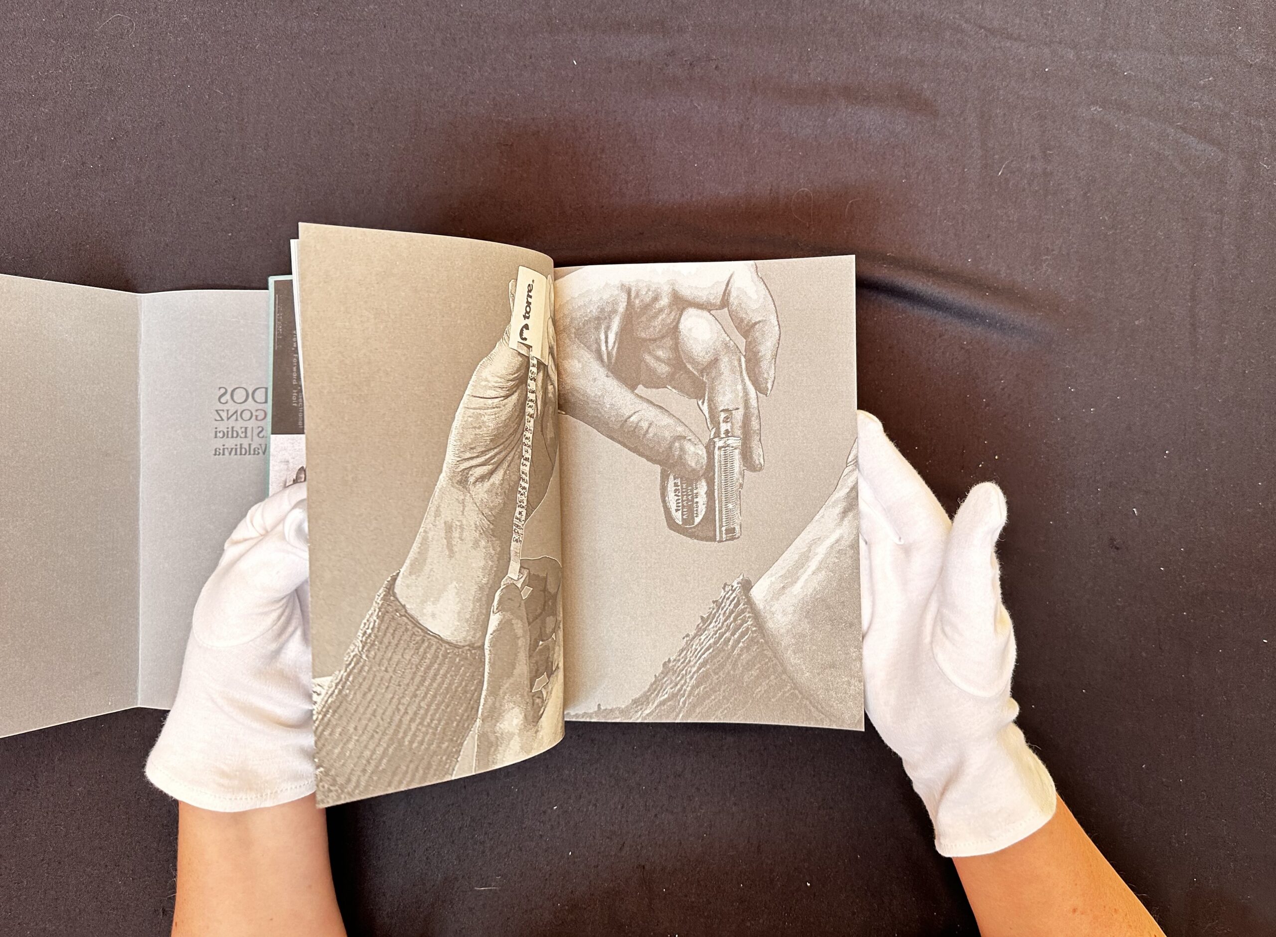 Torpedos_photosbySigne-Klopper_4-scaled-1