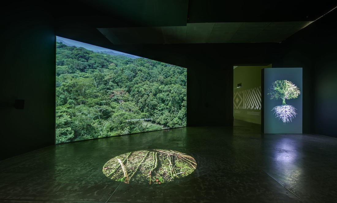 Ursula_Biemann_devenir_tierra_07