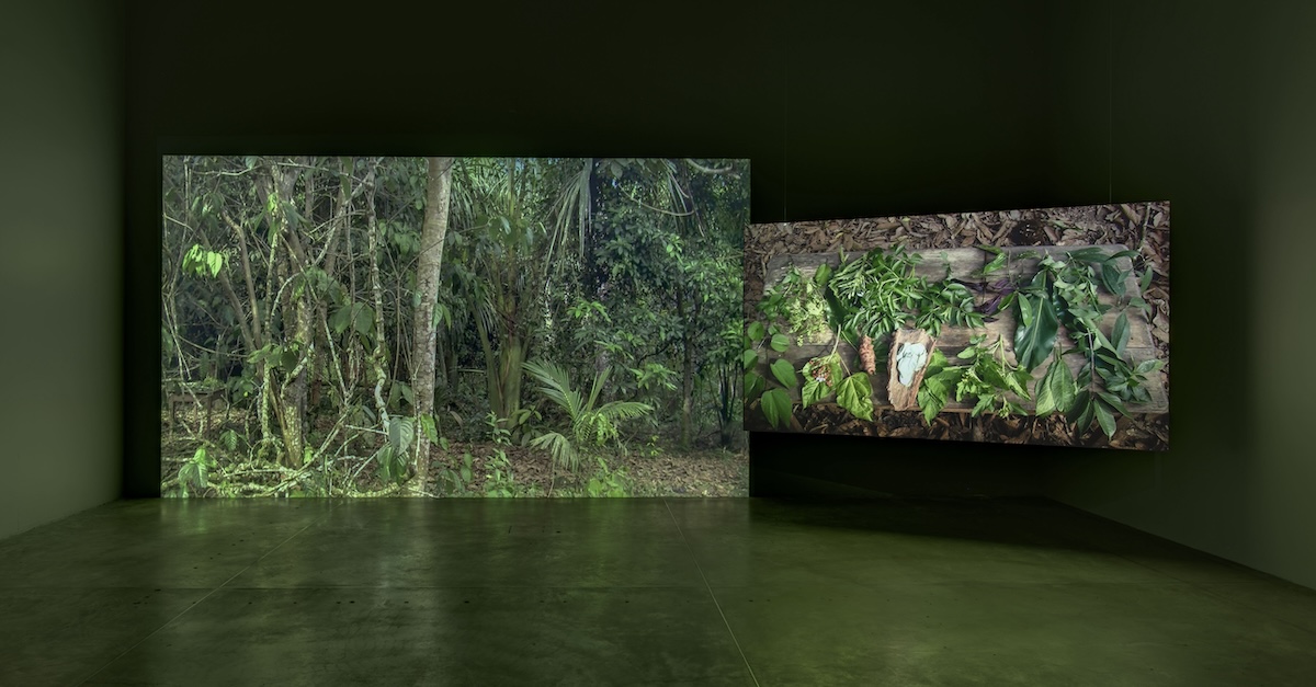 Ursula_Biemann_devenir_tierra_10