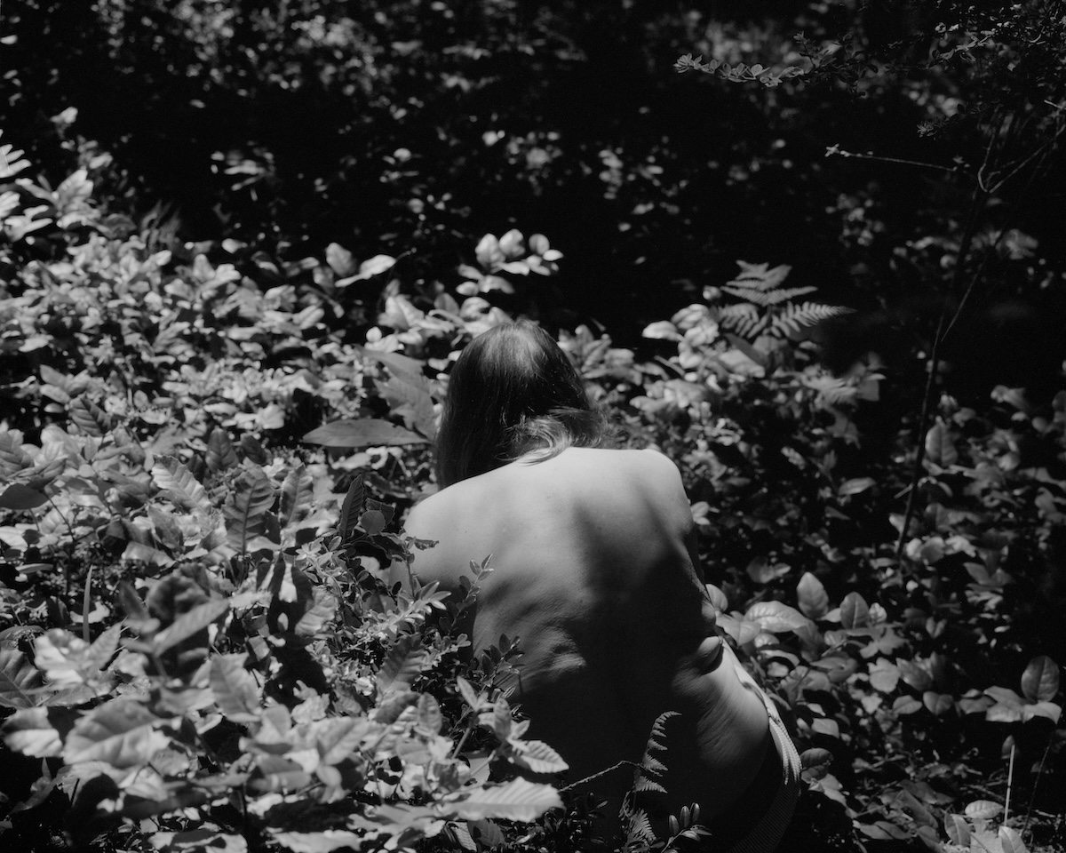 RMC_RareEarth_InTheBushes