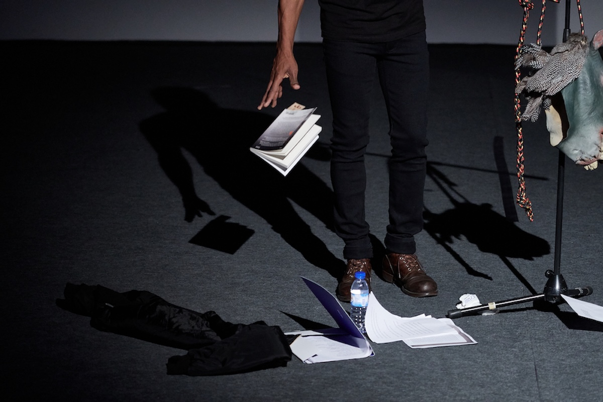 FF2019_0388_A©-Jose-Caldeira