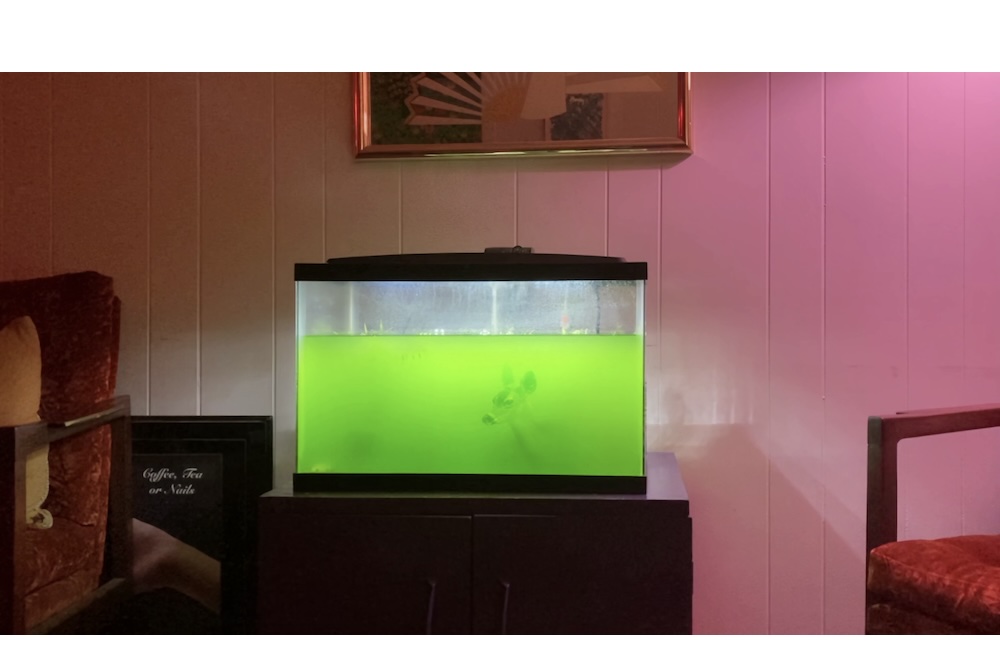 “I Always Wanted to Participate”: In Conversation with Vijay Masharani