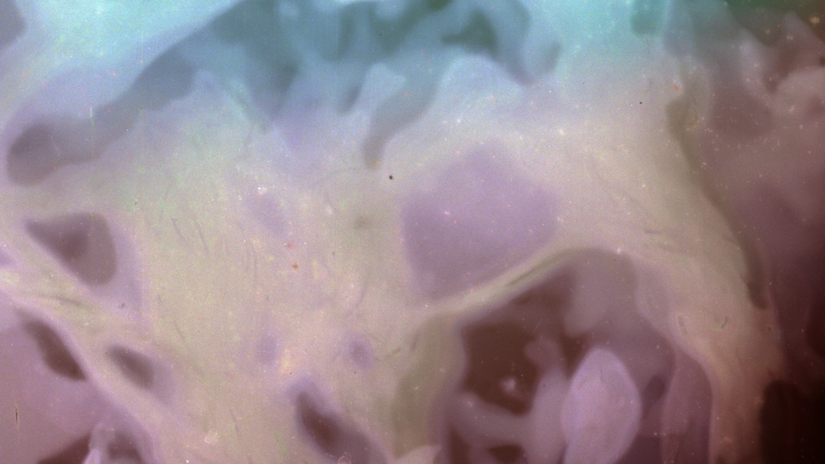 AStonesThrow_Seaweed