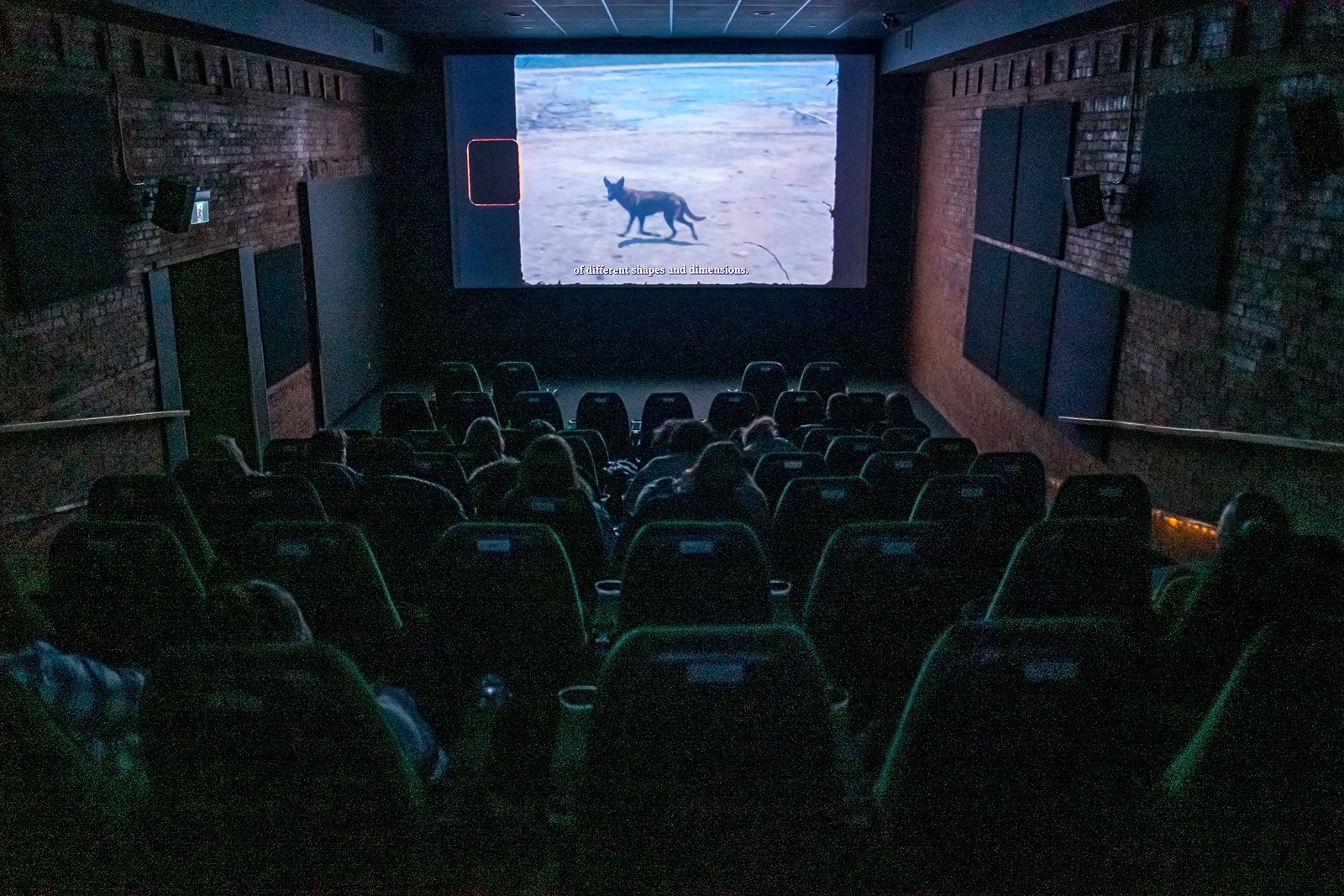 Open-Secret-Screening_Sofia-Gallisa-Muriente_Celaje-2020_