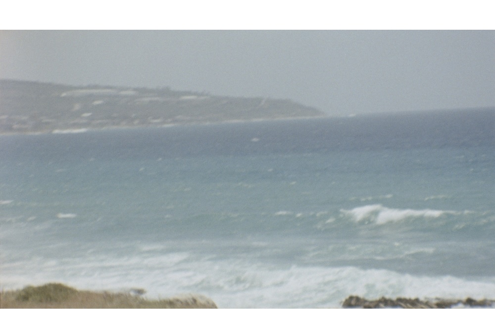 Programming the Diaspora: On How the Moving Image Shapes the Present