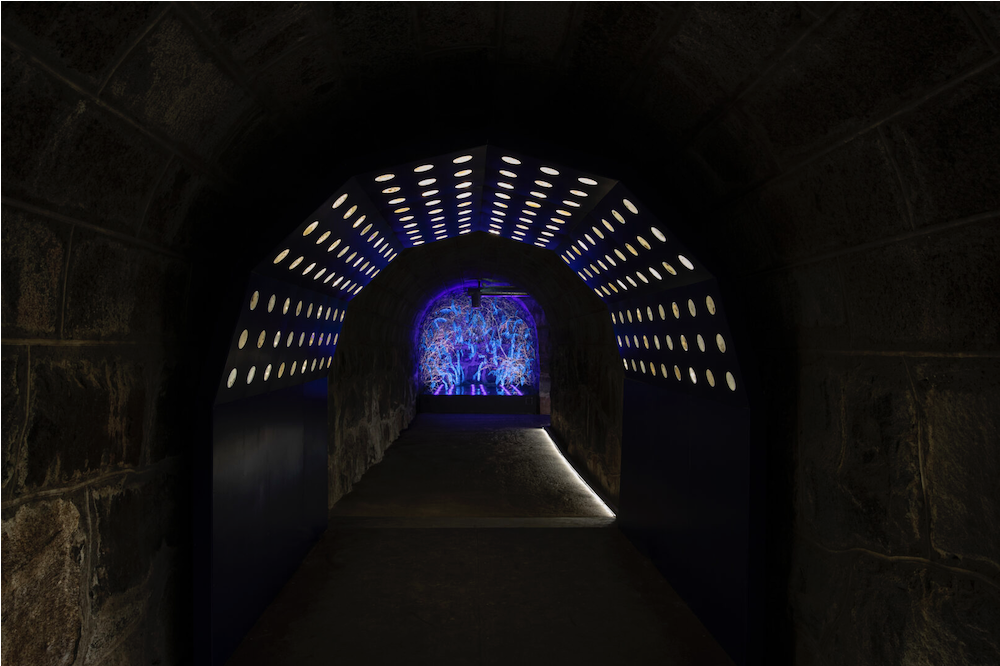 “Staying with the Trouble” at the Helsinki Biennial: Challenges of Environmental Curating