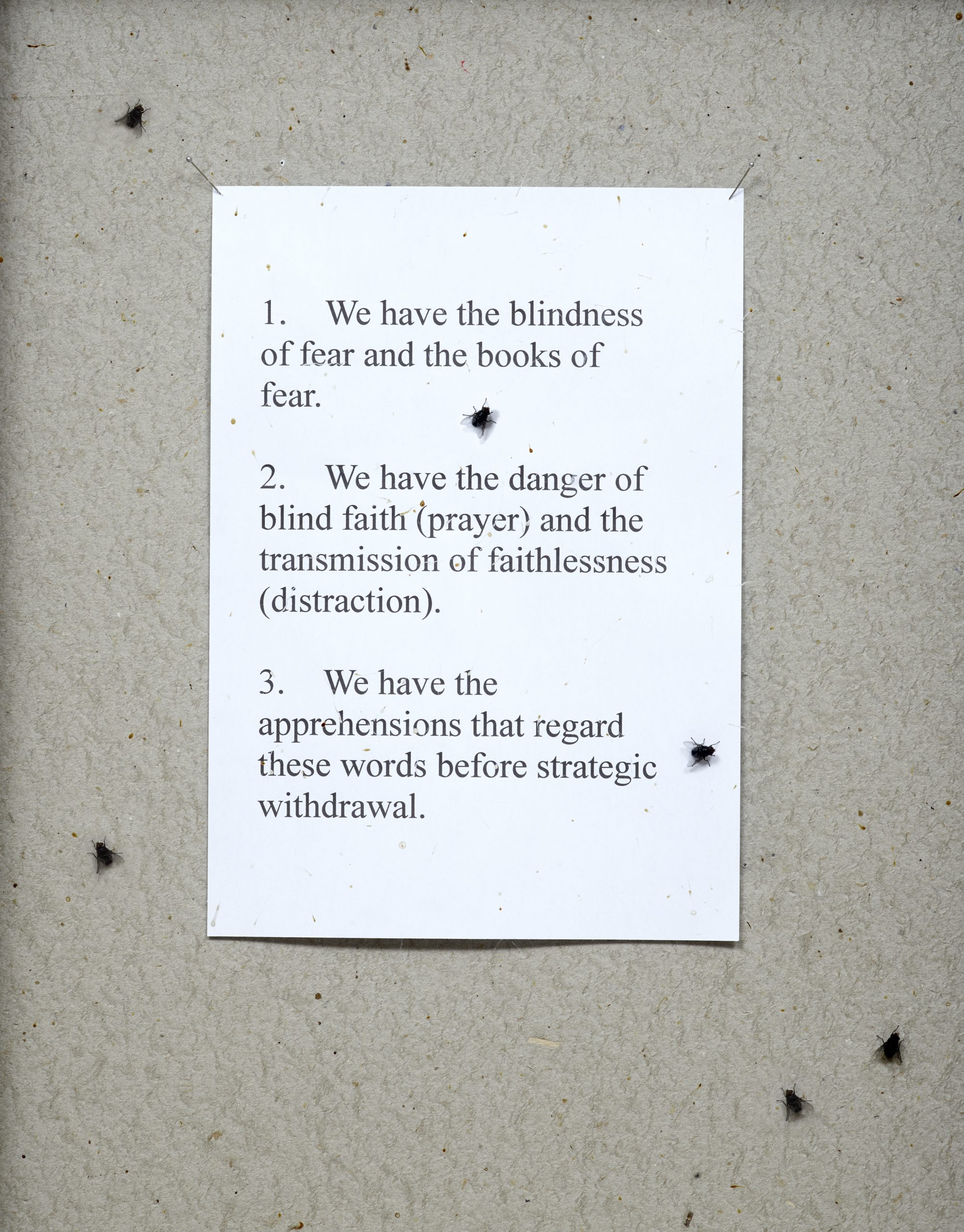 8.-Hamad-Butt-Detail-from-Fly-Piece-1-scaled