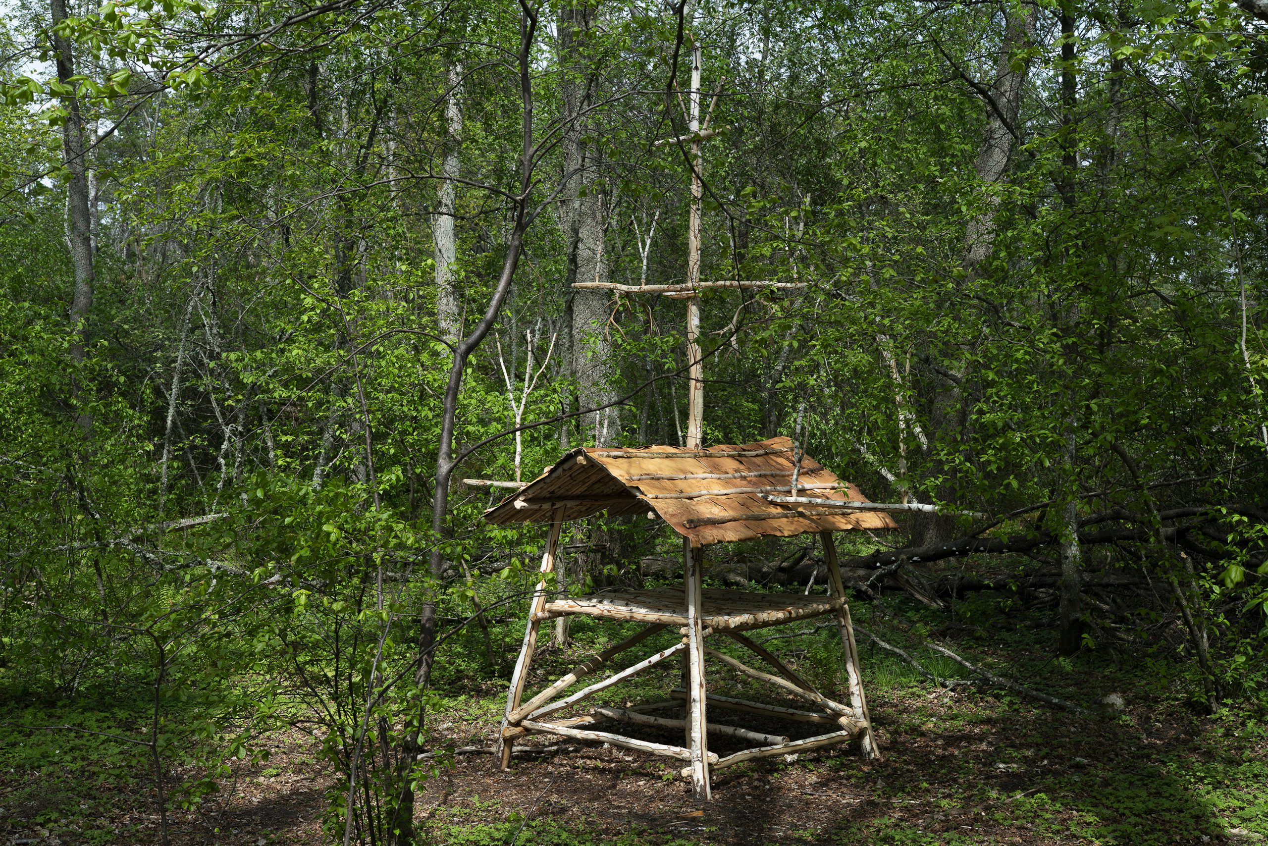 Carola-Grahn_Vearalden-Olmai-1-1-scaled