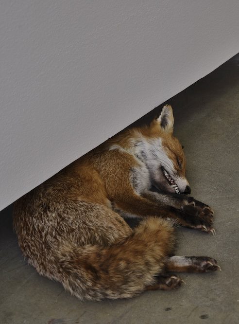 Time Made Strange: Abbas Akhavan at the Belkin Art Gallery