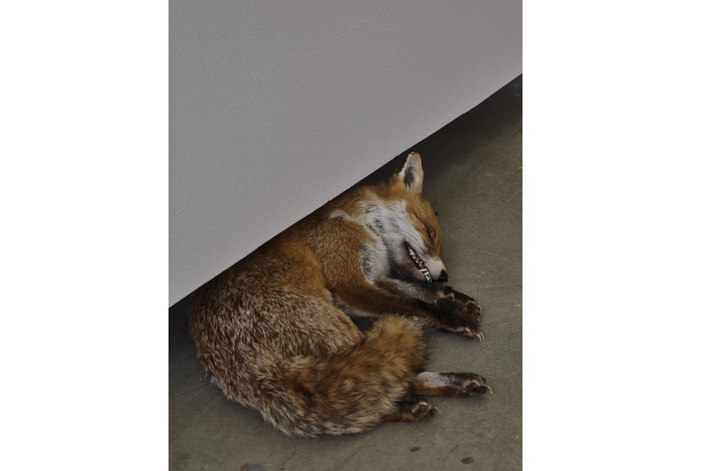 Time Made Strange: Abbas Akhavan at the Belkin Art Gallery