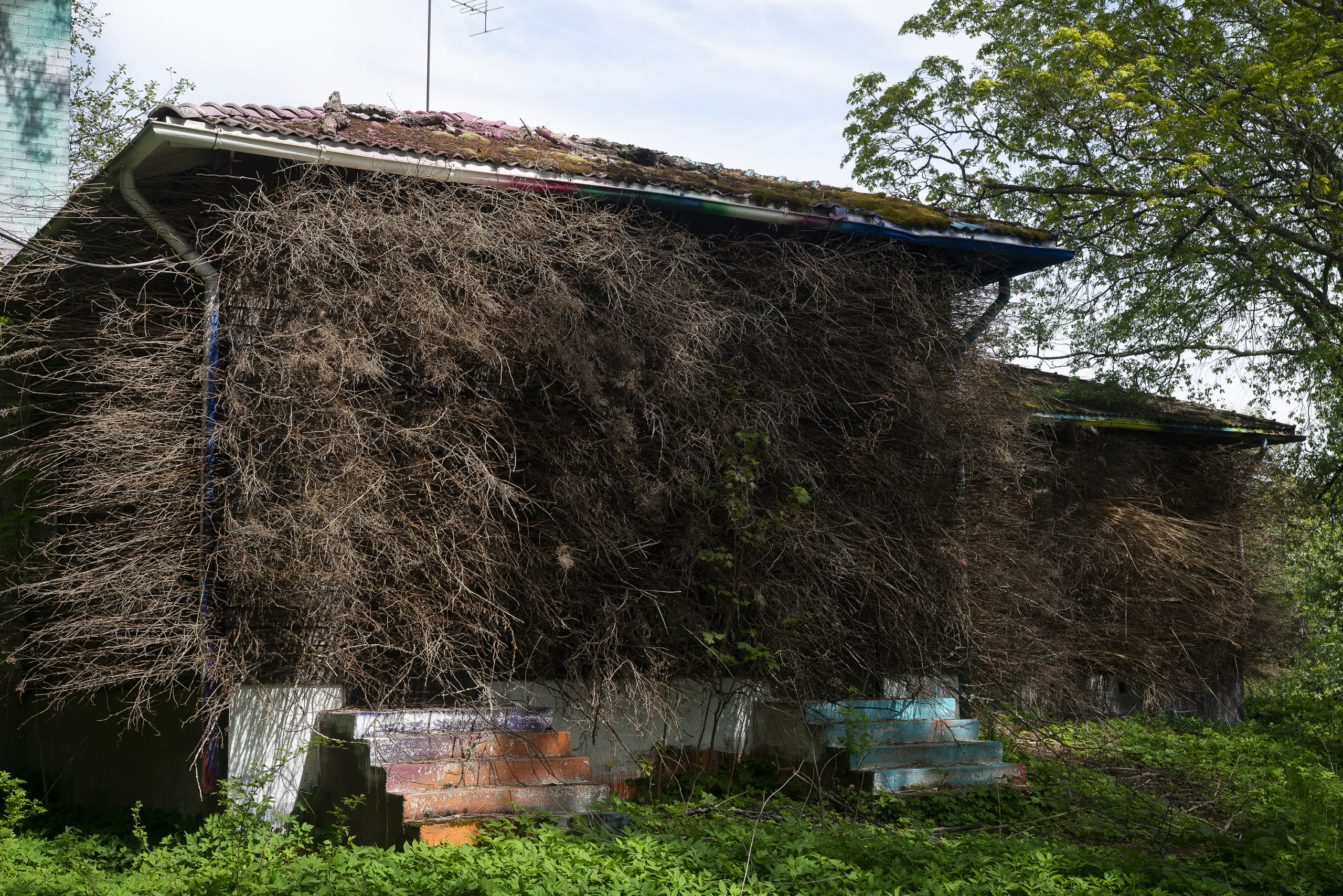 nabbteeri_parahultainen-isanta-1-1-scaled