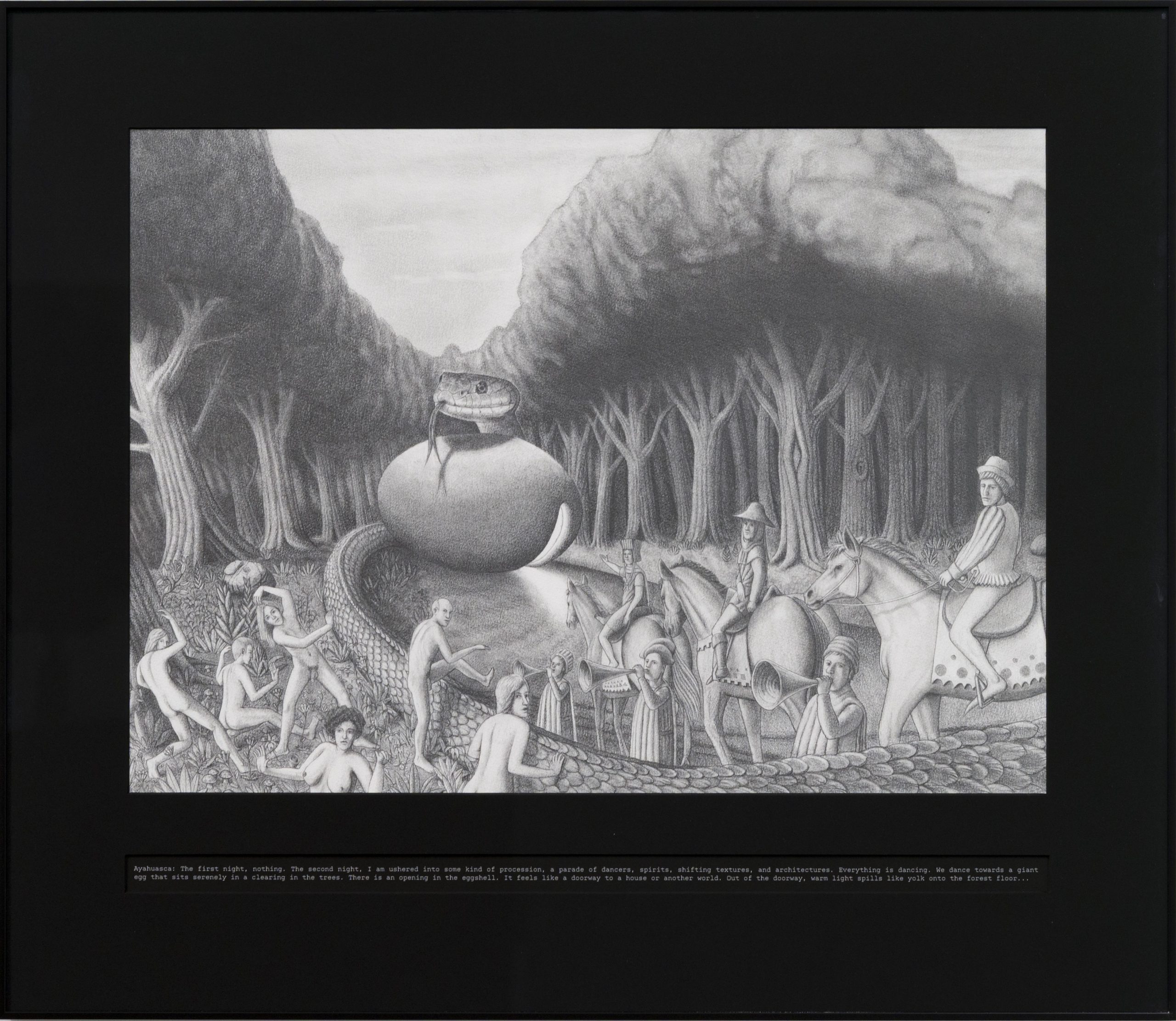 Ayahuasca._-1-1-scaled