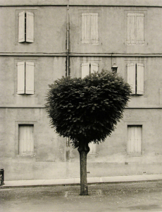 Bourdeau_Tarn, France, 1990