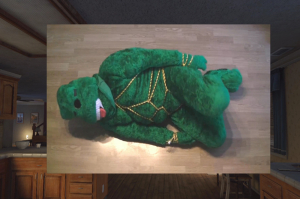 mainsqueeze-2014-2.jpg_ori