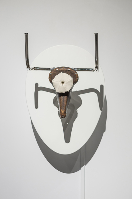 Andison_2013 trophy after picasso 1 sm