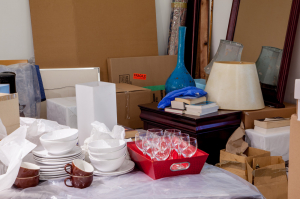 Liz Magor: Surrender