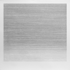 flogging a dead horse 7 spring