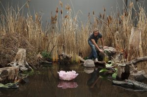 Dean_Swamp_2014