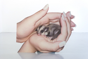 Katja Novitskova, Innate Disposition 2, 2012