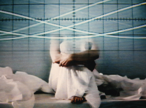 Lynn Hershman Leeson, Seduction of a Cyborg, 1994