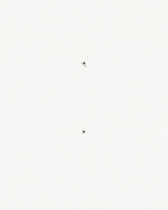 two holes LR